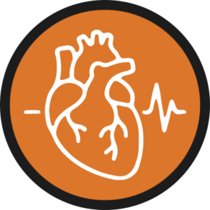 Cardiology