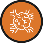 Surgical Oncology